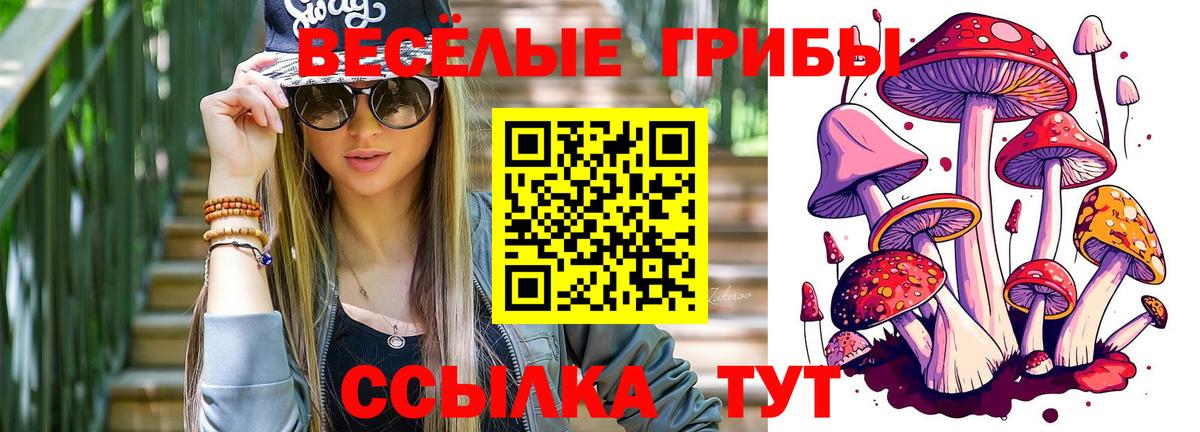 Великий Новгород  Псилоцибиновые грибы Cubensis  Вход с VPN 